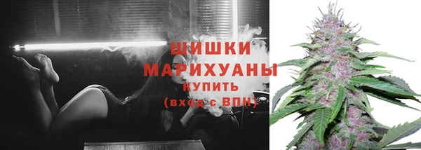 гидра Дмитриев