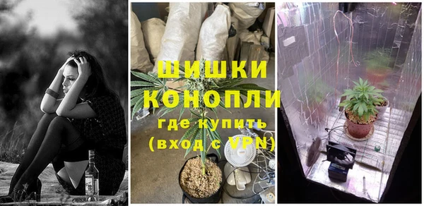 гидра Дмитриев