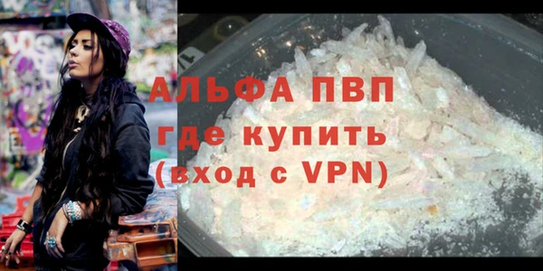 гидра Дмитриев